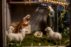 25Jaslice-Vipava-2021-Oton-Naglost