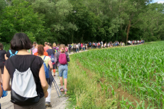 11Romanje-v-Log-2023