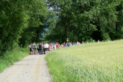 12Romanje-v-Log-2023