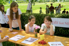 41Romanje-v-Log-2024