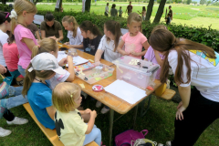 47Romanje-v-Log-2024